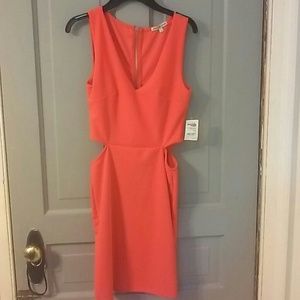 Chatlotte Russe Dress